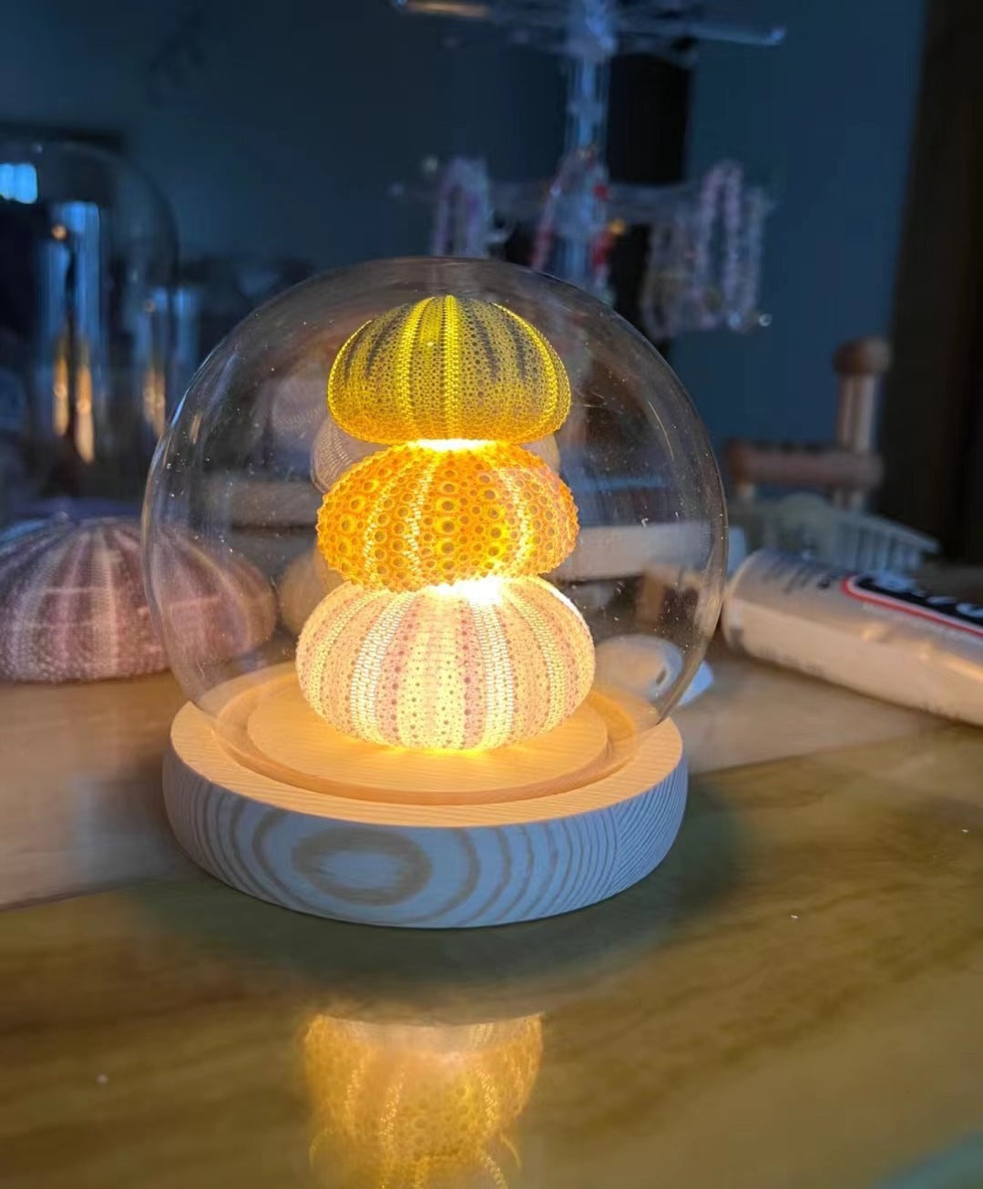 Handmade Luminous Sea Urchin Night Lamp for Cozy Ambiance