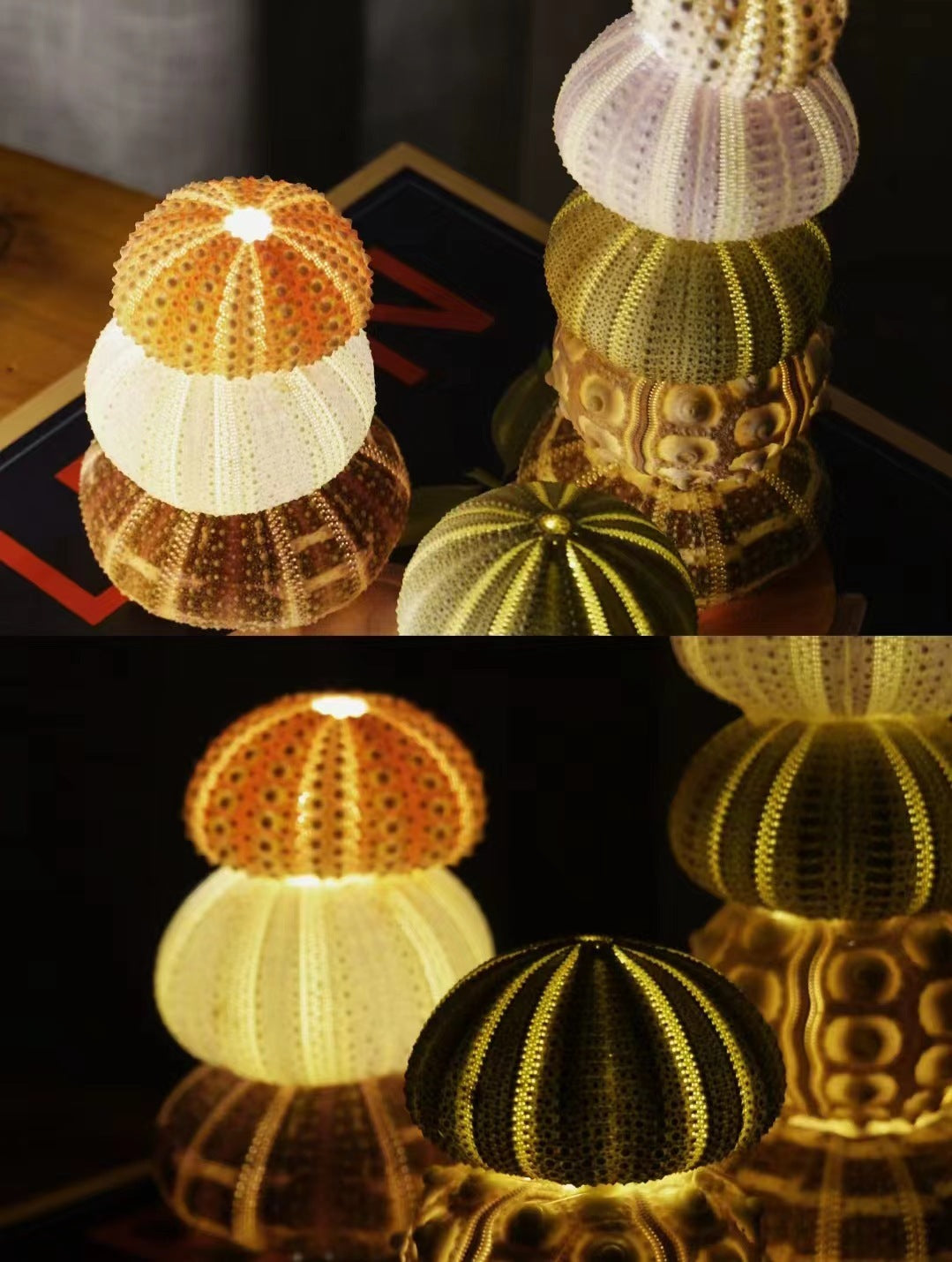 Handmade Luminous Sea Urchin Night Lamp for Cozy Ambiance