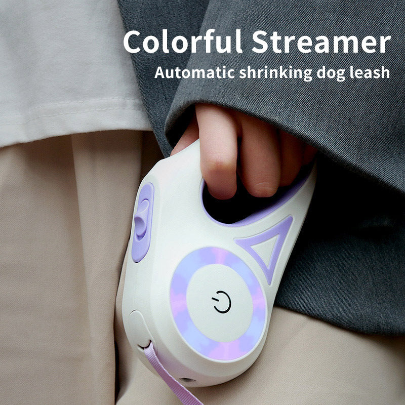 Retractable Leash And Dog Collar Spotlight