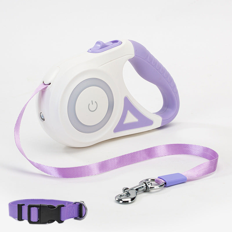 Retractable Leash And Dog Collar Spotlight