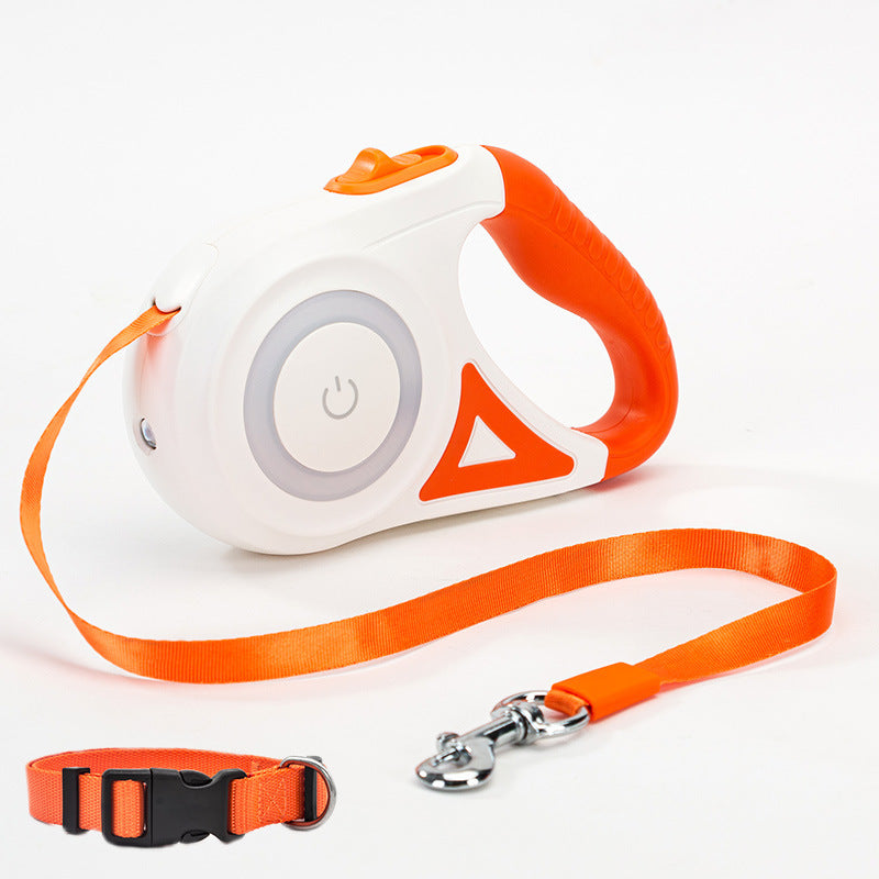 Retractable Leash And Dog Collar Spotlight